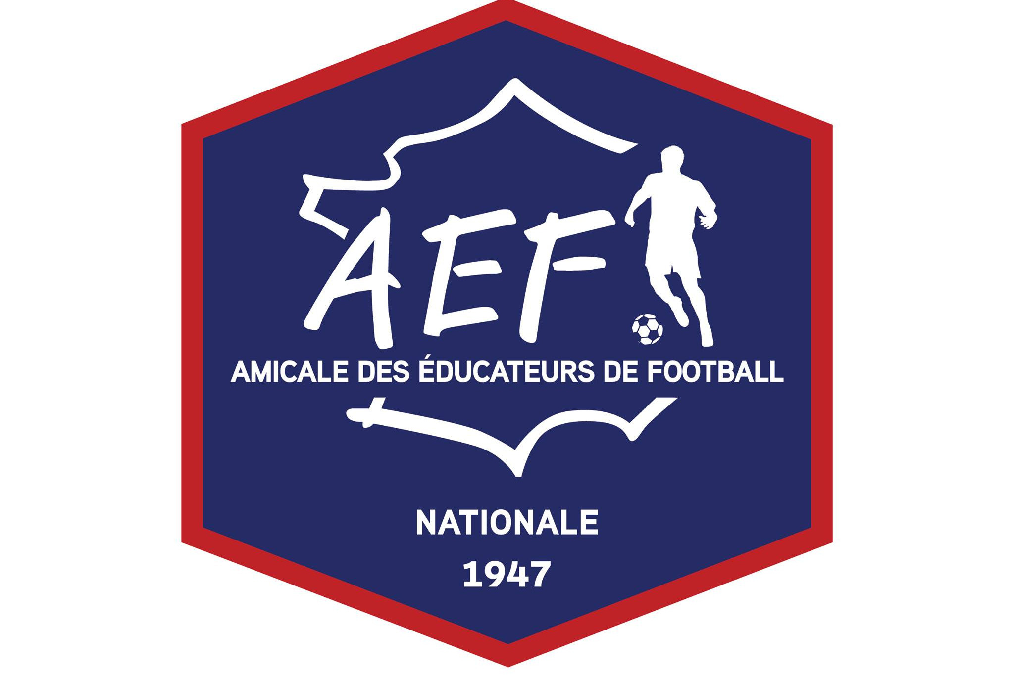 1ère VISIOCONFERENCE  l'Amicale Nationale des Educateurs de Football - Vignette