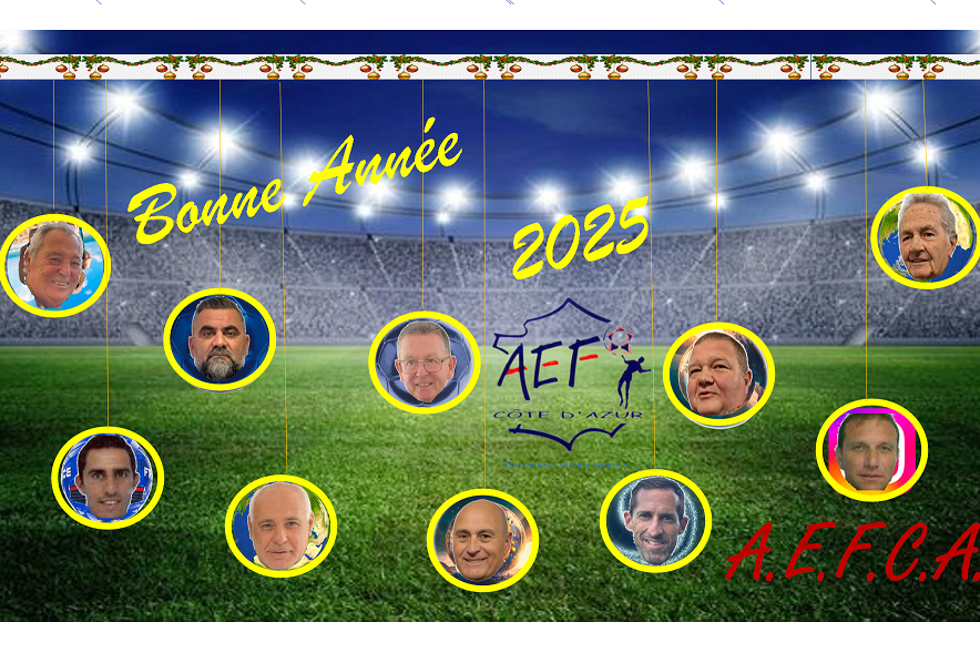 Bonne Année 2025 - Vignette
