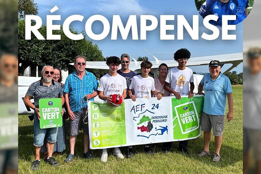 Récompense Carton Vert - Vignette