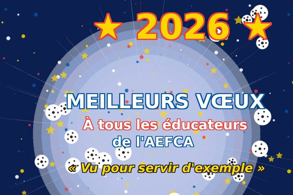 Voeux 2026 - Vignette